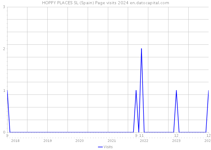 HOPPY PLACES SL (Spain) Page visits 2024 