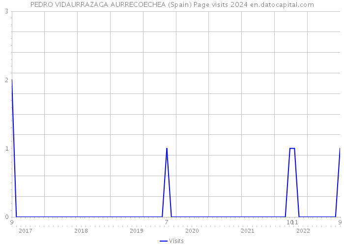 PEDRO VIDAURRAZAGA AURRECOECHEA (Spain) Page visits 2024 