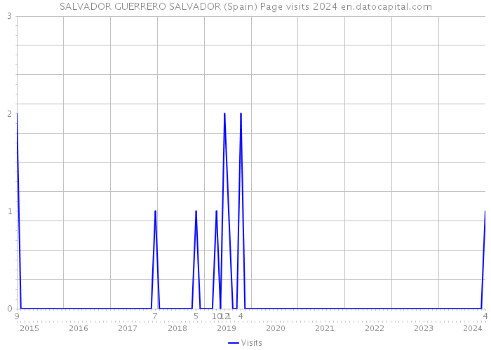 SALVADOR GUERRERO SALVADOR (Spain) Page visits 2024 