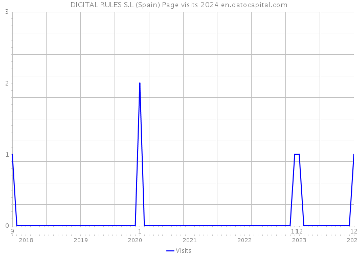 DIGITAL RULES S.L (Spain) Page visits 2024 