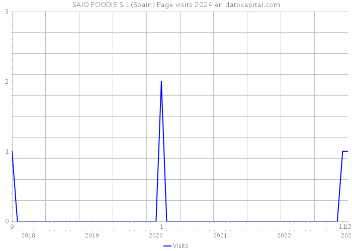 SAIO FOODIE S.L (Spain) Page visits 2024 