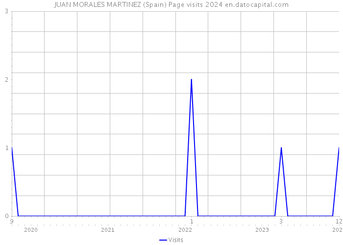 JUAN MORALES MARTINEZ (Spain) Page visits 2024 