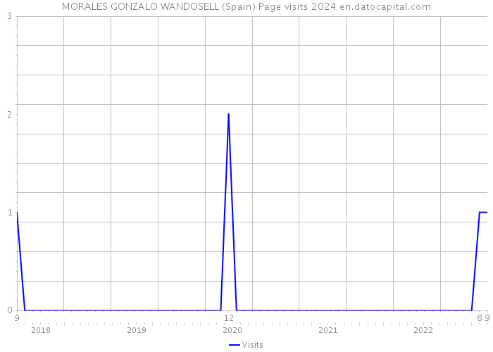 MORALES GONZALO WANDOSELL (Spain) Page visits 2024 