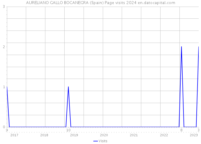 AURELIANO GALLO BOCANEGRA (Spain) Page visits 2024 