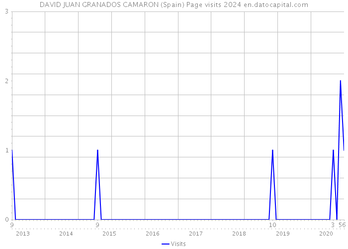 DAVID JUAN GRANADOS CAMARON (Spain) Page visits 2024 