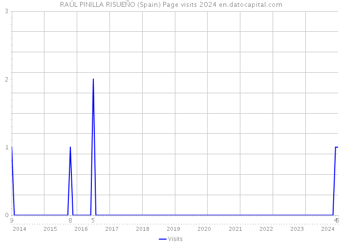 RAÚL PINILLA RISUEÑO (Spain) Page visits 2024 