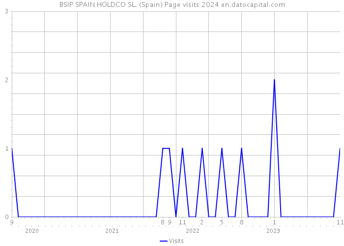 BSIP SPAIN HOLDCO SL. (Spain) Page visits 2024 
