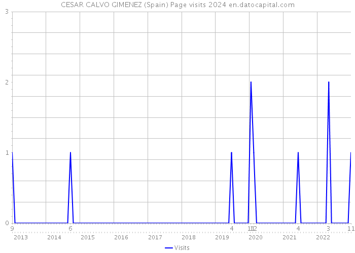 CESAR CALVO GIMENEZ (Spain) Page visits 2024 