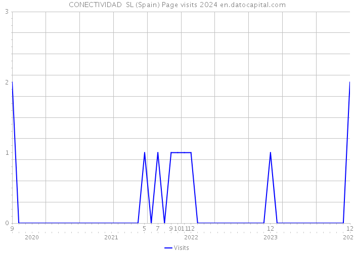 CONECTIVIDAD SL (Spain) Page visits 2024 