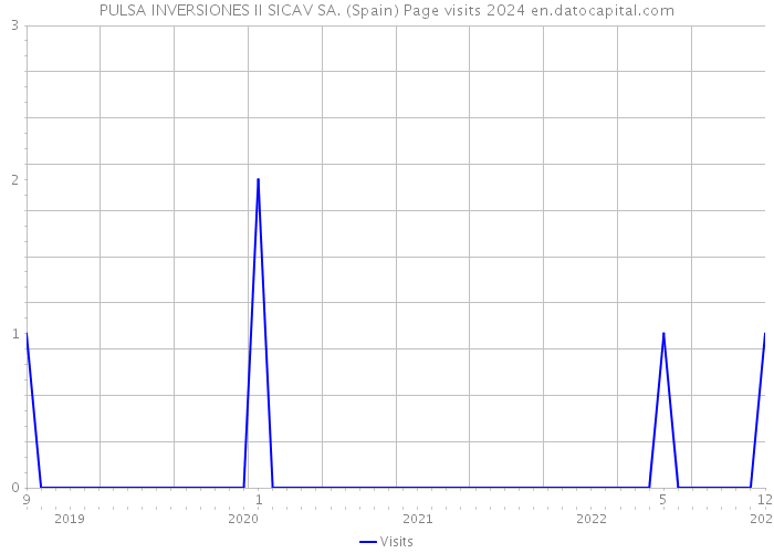 PULSA INVERSIONES II SICAV SA. (Spain) Page visits 2024 
