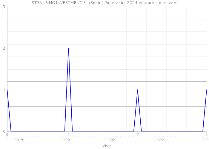 STRAUBING INVESTMENT SL (Spain) Page visits 2024 