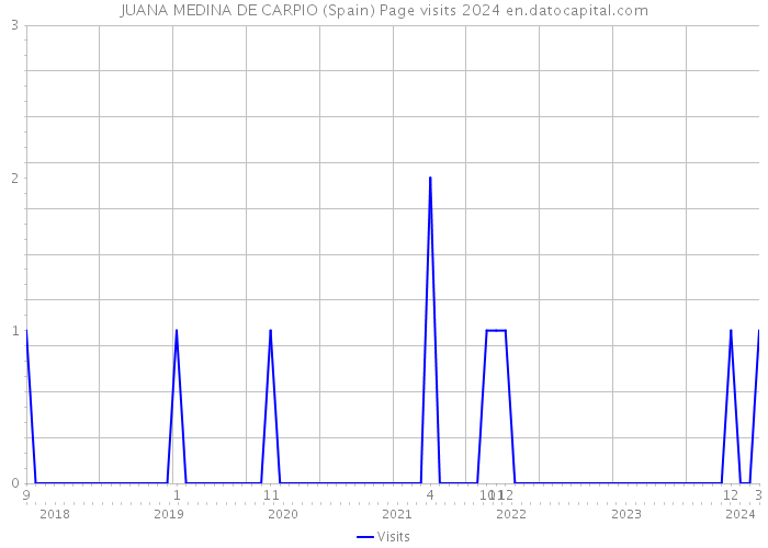 JUANA MEDINA DE CARPIO (Spain) Page visits 2024 