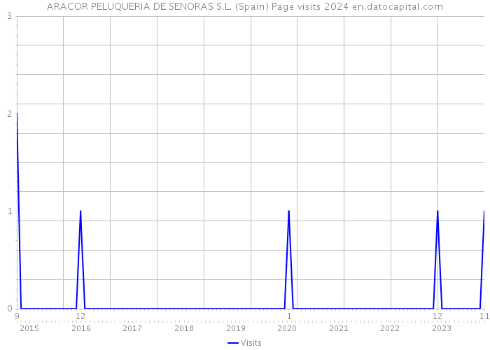 ARACOR PELUQUERIA DE SENORAS S.L. (Spain) Page visits 2024 