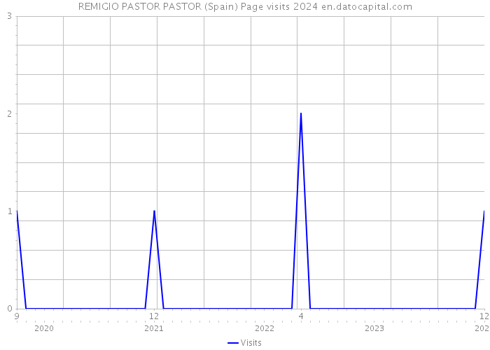 REMIGIO PASTOR PASTOR (Spain) Page visits 2024 
