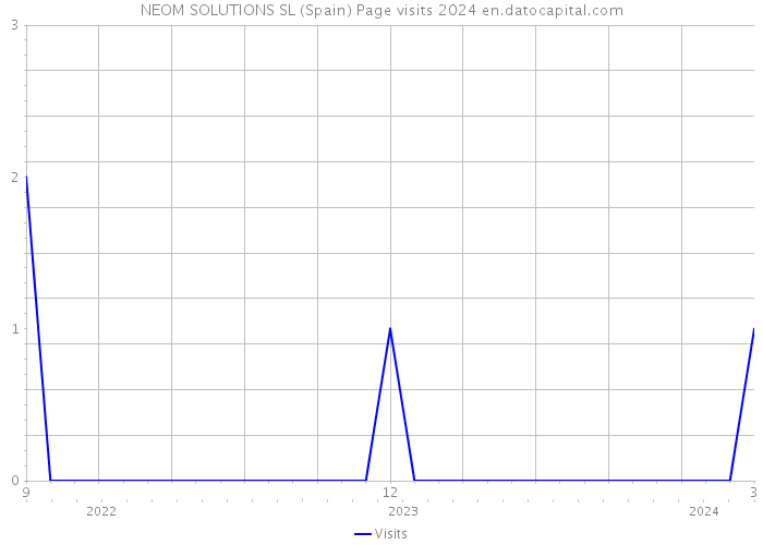 NEOM SOLUTIONS SL (Spain) Page visits 2024 