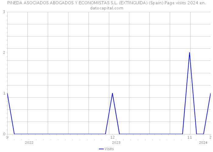PINEDA ASOCIADOS ABOGADOS Y ECONOMISTAS S.L. (EXTINGUIDA) (Spain) Page visits 2024 