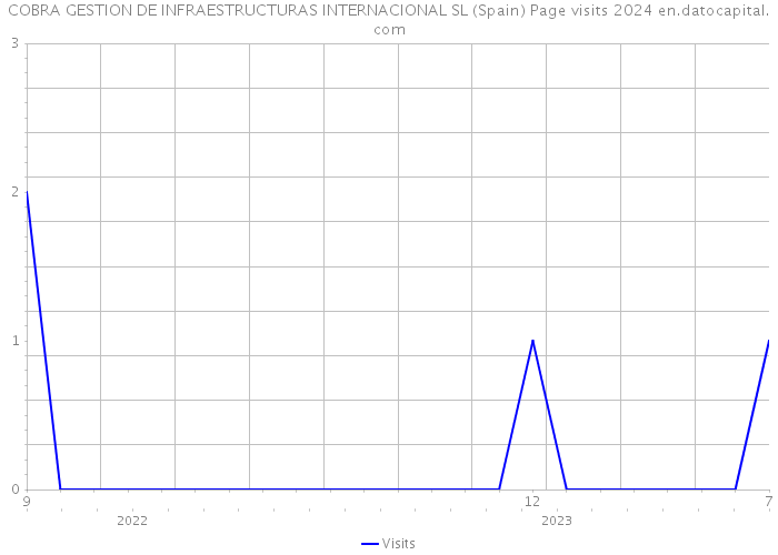 COBRA GESTION DE INFRAESTRUCTURAS INTERNACIONAL SL (Spain) Page visits 2024 
