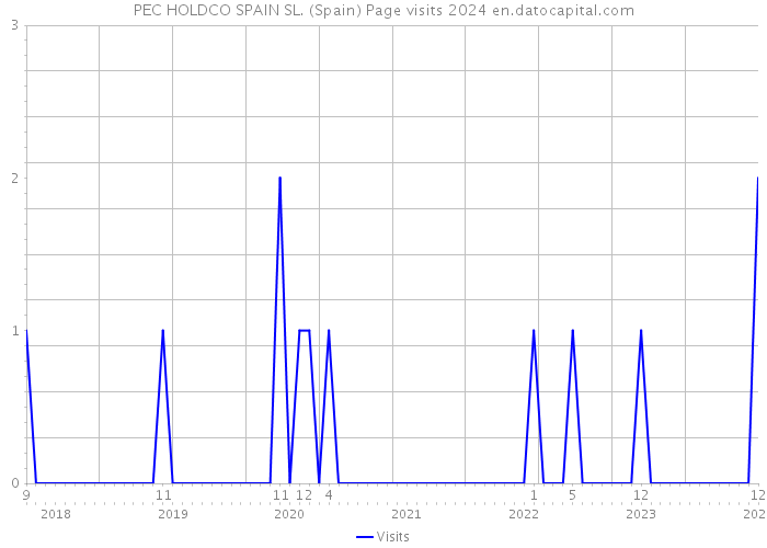 PEC HOLDCO SPAIN SL. (Spain) Page visits 2024 
