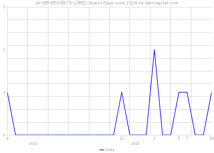 JAVIER REVUELTA LOPEZ (Spain) Page visits 2024 