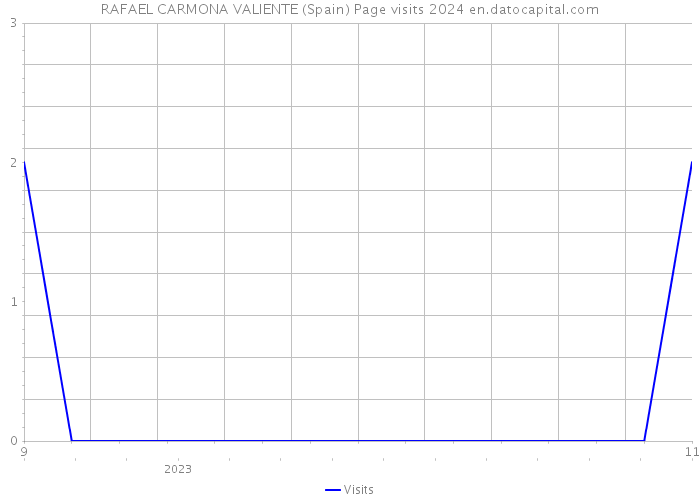 RAFAEL CARMONA VALIENTE (Spain) Page visits 2024 