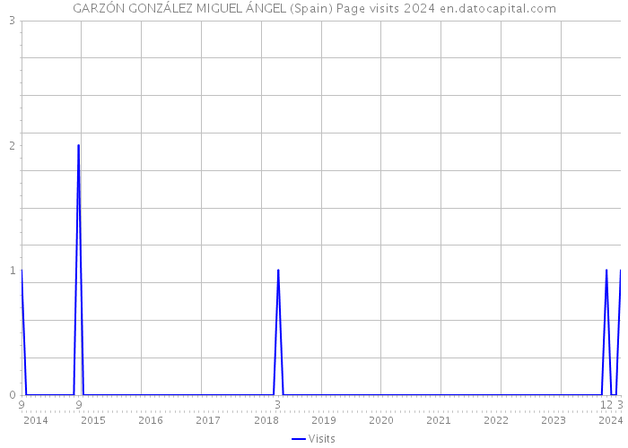 GARZÓN GONZÁLEZ MIGUEL ÁNGEL (Spain) Page visits 2024 