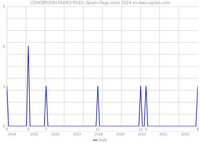 CONCEPCION PADRO POZO (Spain) Page visits 2024 