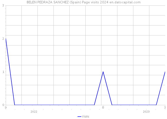 BELEN PEDRAZA SANCHEZ (Spain) Page visits 2024 