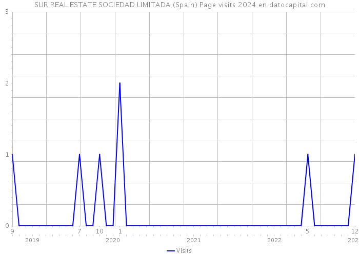 SUR REAL ESTATE SOCIEDAD LIMITADA (Spain) Page visits 2024 