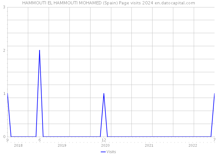 HAMMOUTI EL HAMMOUTI MOHAMED (Spain) Page visits 2024 