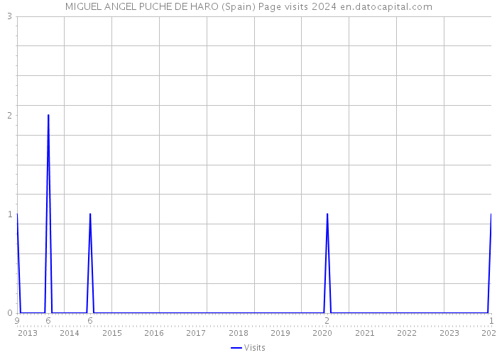 MIGUEL ANGEL PUCHE DE HARO (Spain) Page visits 2024 