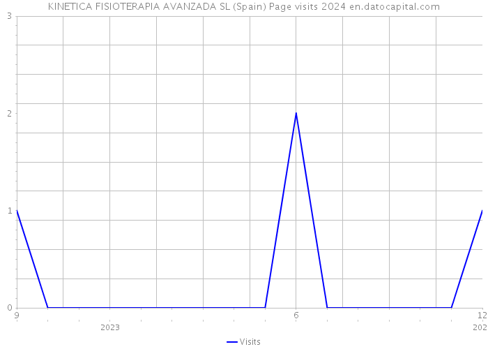 KINETICA FISIOTERAPIA AVANZADA SL (Spain) Page visits 2024 