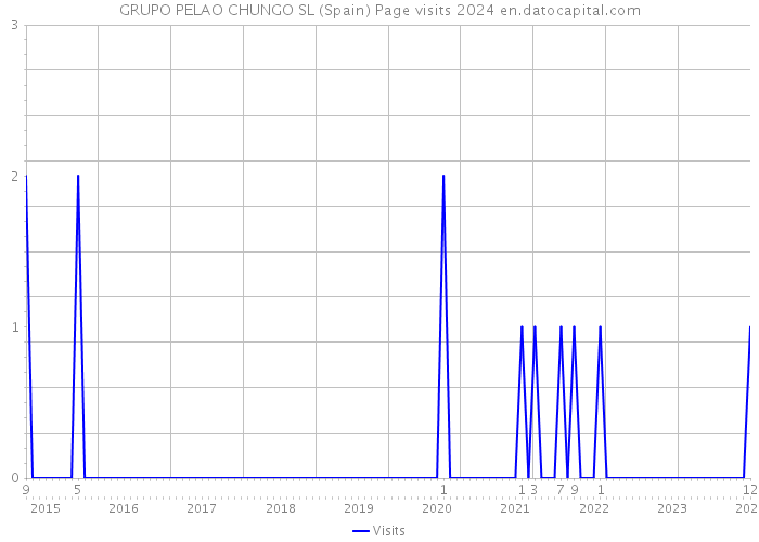 GRUPO PELAO CHUNGO SL (Spain) Page visits 2024 