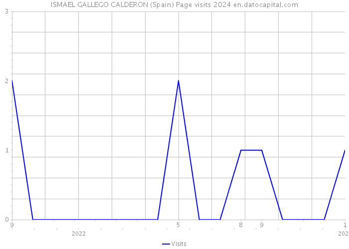ISMAEL GALLEGO CALDERON (Spain) Page visits 2024 