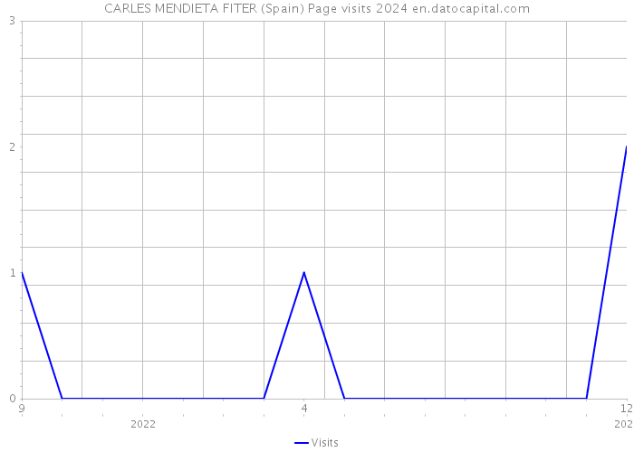 CARLES MENDIETA FITER (Spain) Page visits 2024 