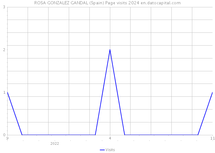 ROSA GONZALEZ GANDAL (Spain) Page visits 2024 