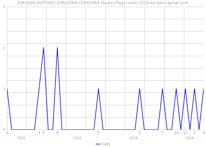 JOAQUIN ANTONIO GONGORA GONGORA (Spain) Page visits 2024 