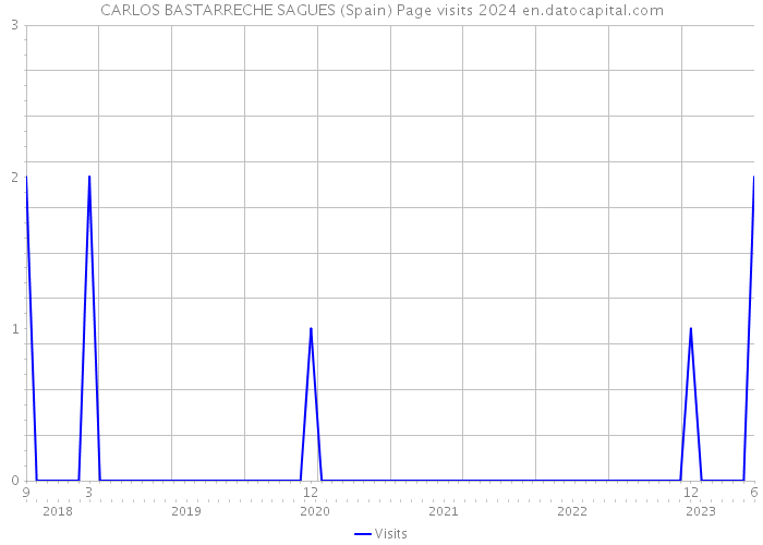 CARLOS BASTARRECHE SAGUES (Spain) Page visits 2024 