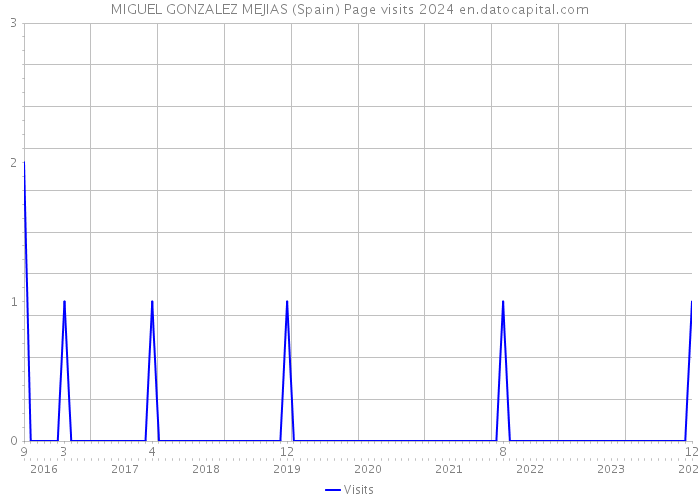 MIGUEL GONZALEZ MEJIAS (Spain) Page visits 2024 