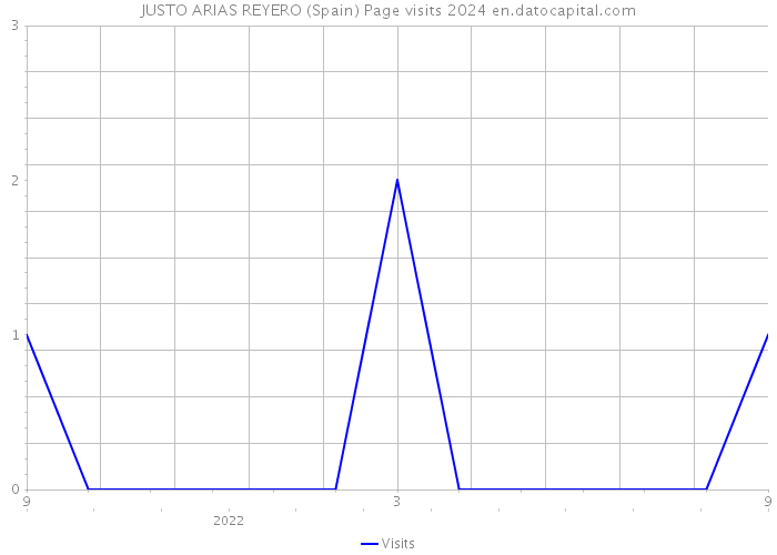 JUSTO ARIAS REYERO (Spain) Page visits 2024 