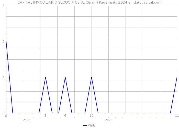 CAPITAL INMOBILIARIO SEQUOIA 85 SL (Spain) Page visits 2024 
