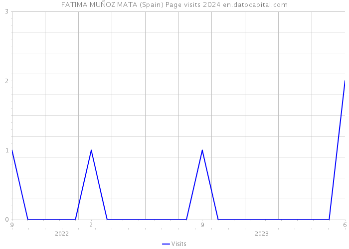 FATIMA MUÑOZ MATA (Spain) Page visits 2024 