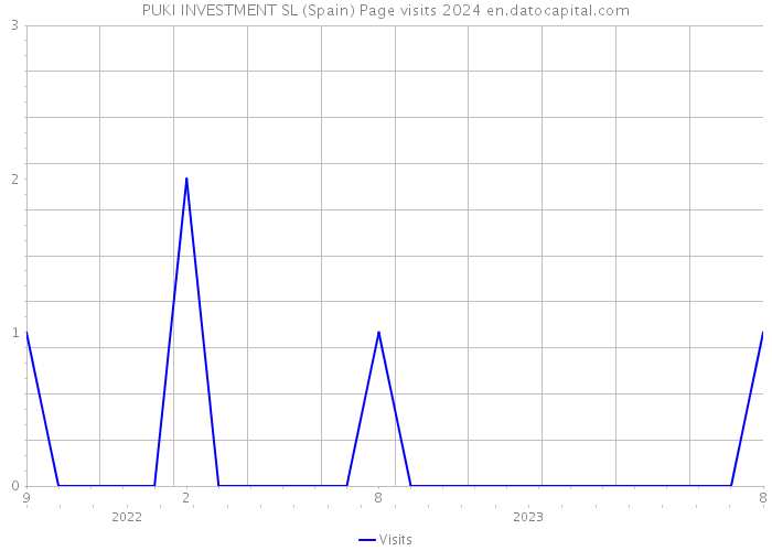 PUKI INVESTMENT SL (Spain) Page visits 2024 