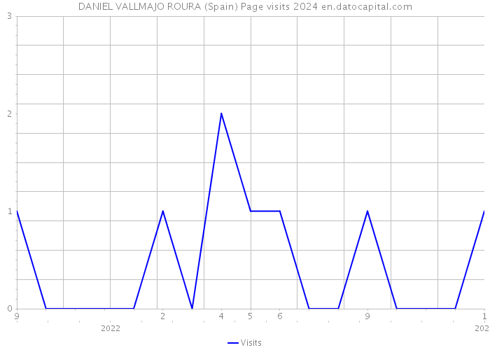 DANIEL VALLMAJO ROURA (Spain) Page visits 2024 