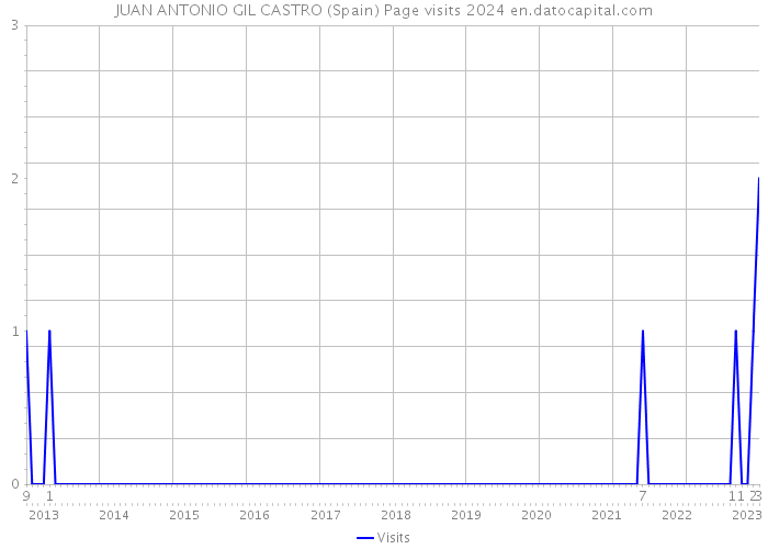 JUAN ANTONIO GIL CASTRO (Spain) Page visits 2024 
