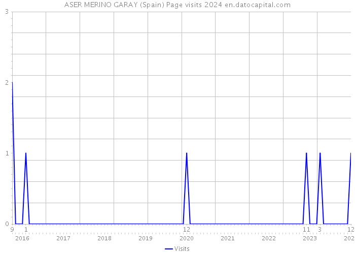 ASER MERINO GARAY (Spain) Page visits 2024 