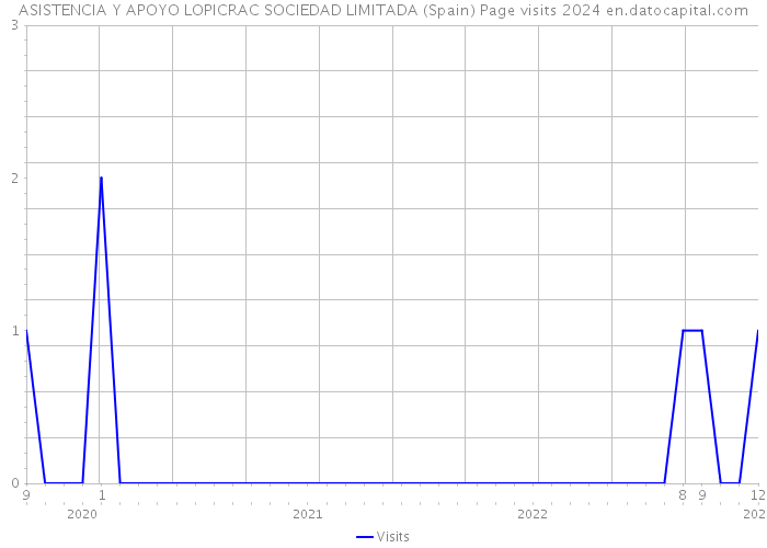 ASISTENCIA Y APOYO LOPICRAC SOCIEDAD LIMITADA (Spain) Page visits 2024 