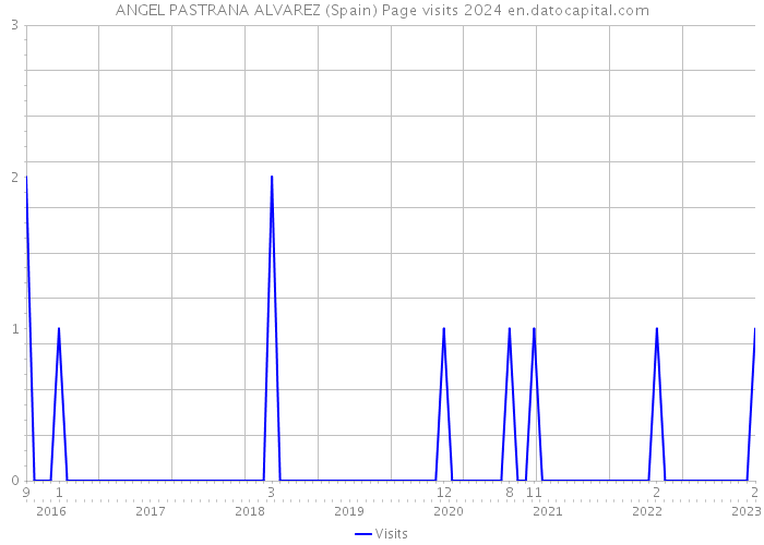 ANGEL PASTRANA ALVAREZ (Spain) Page visits 2024 