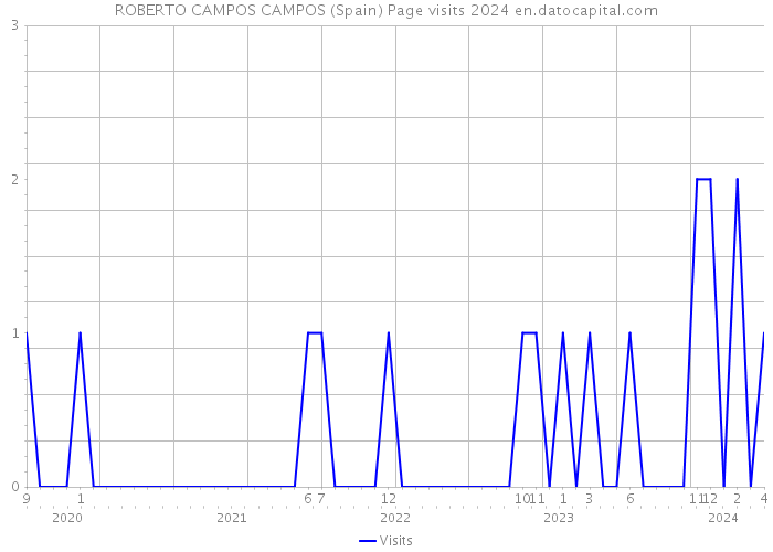 ROBERTO CAMPOS CAMPOS (Spain) Page visits 2024 