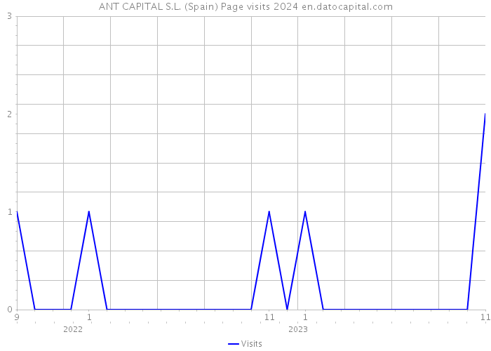 ANT CAPITAL S.L. (Spain) Page visits 2024 