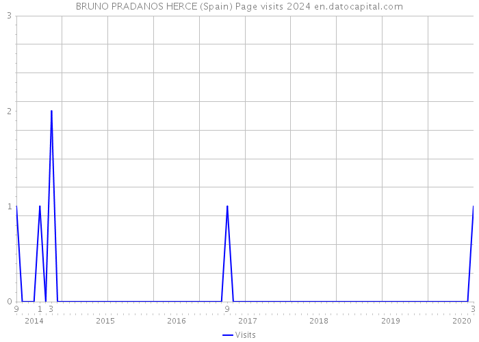 BRUNO PRADANOS HERCE (Spain) Page visits 2024 